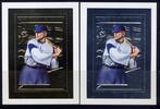 Briefmarken Tschad 2002 Baseball Sport Sports Silber Gold Block 357-358 Postfrisch MNH -