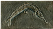 Deutschland - BRD, Relief v. Strassacker Fossiler Raubfisch Aspidorhynchus acutirostris -