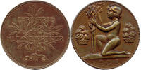 Österreich - Wien, Æ-Medaille v. Josef Prinz (1876-1960) Preis für Kleingärtner, -