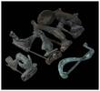 Ancient art Nice collection of ancient 6 Roman and greek bronze fibulas -