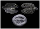 Ancient art Rare Zoomophic style Halaf period stamp seal, 6th. mill BC -