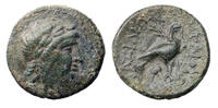 Ancient coins  SELEUKID KINGS of SYRIA. Achaios. Usurper, 220-214 BC. AE... 85,00 EUR  Excl. 22,00 EUR Verzending