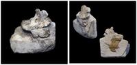 Ancient art Marble fragment from a sarcophagus with vine leaf, Roman, 1st.-3rd. c. -