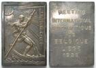 Belgien - Medaillen LIEGE 1939 INTERNATIONAL YACHT RALLY Plaque by Antoine Vriens 72x51mm -