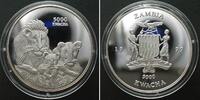 Sambia ZAMBIA 5000 Kwacha 1999 Lions pride AFRICAN WILDLIFE silver 1 oz Proof SCARCE! -
