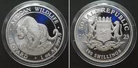 Somalia SOMALIA 100 Shillings 2023 Leopard AFRICAN WILDLIFE silver 1 oz -