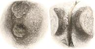 Thailand (Siam) 1/2 Baht Rama IV. (Phra Chom Klao 'Mongkut') 1851-1868. -