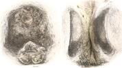 Thailand (Siam) 2 Baht Rama IV. (Phra Chom Klao 'Mongkut') 1851-1868. -