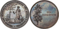 AUSTRIA Award Medal (Verdienstmedaille) 1890s Association of gardeners o... 85,00 EUR65,00 EUR  Excl. 10,00 EUR Verzending
