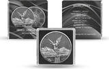 Silver coin 1 oz Mexico Libertad 2024 Silver ring Ruthenium COA Uncirculated - Ruthenium - Silver Ring