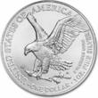 Vereinigte Staaten 1 Dollar Silver coin 1 oz American Silver Eagle Burnished 2025 999 Silver Coin BU