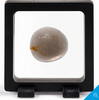 Deutschland 2020 Lighthouse floating frame Magic Frame 55x55 mm for jewelry coins banknotes etc.