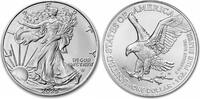 Vereinigte Staaten 1 Dollar Silver coin 1 oz American Silver Eagle 2025 US Mint 999 silver BU brilliant uncirculated