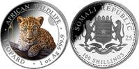Somalia 100 Shillings Silver coin 1 oz Somalia Leopard 2025 Color Silver 999 African Wildlife -