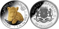 Somalia 100 Shillings Silver coin 1 oz Somalia Leopard 2025 gilded silver 999 African Wildlife -