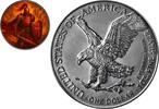 Polen 1 Dollar Silver coin 1 oz USA ASE Knights of Honour Crimson Crusader 2025 color 999 -