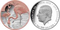 Niue 1 Dollar Silver coin 1 oz Mother of Pearl Clouds color 2025 Silver coin 999 PP -