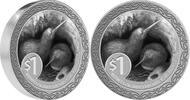 Neuseeland 1 NZD Silver coin 1 oz Kiwi 2025 Specimen Finish blister card New Zealand 999 Silver -