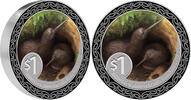 Neuseeland 1 NZD Silver coin 1 oz Kiwi 2025 color in box PP New Zealand 999 Silver 1 NZD -