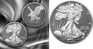 Vereinigte Staaten 1 Dollar Silver coin 1 oz American Eagle Silver Ring 2025 Ruthenium Silver Coin 999 -