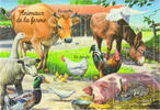 Frankreich Frankreich ** 2004, Tiere auf dem Bauernhof -