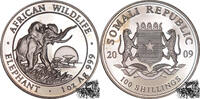 Somalia 100 Shillings 100 Shillings 2009 - Elefant -