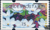 Österreich 2007 Automatenmarke ** - € 0,75 - Leberblümchen: Sonderpostamt -