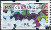 Österreich 2007 Automatenmarke ** - € 0,55 - Leberblümchen: Marke & Münze 07 -