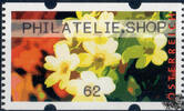 Österreich 2012 Automatenmarke ** - € 0,62 - Schlüsselblumen: PHILATELIE.SHOP -
