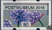 Österreich 2018 Automatenmarke ** - € 0,80 - Gewöhnlicher Teufelsabbiss: POSTMUSEUM 2018 -