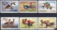 Rumänien Rumänien 2007 ** - Entenvögel -