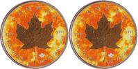 Kanada 5 Dollars 2023 1 oz Maple Leaf (Sunshine) ST mit Umverpackung 48,00 EUR  Excl. 15,00 EUR Verzending