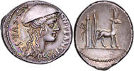 Romaine Denier 55 AC Roman coin - Plancia - Silver Denarius- Roma - 55 B... 1100,00 EUR  Excl. 35,00 EUR Verzending