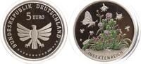Deutschland 5 Euro - Insektenreich (Wunderwelt Insekten), in Münzkapsel -