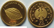 Deutschland 20 Euro Deutscher Wald Buche 1/8 Unze Gold -