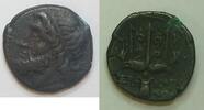 Sizilien AE 275 - 215 v. C Siracus - Sicilien Hieron II. 275 - 215 v. ch... 120,00 EUR102,00 EUR  plus 14,49 EUR verzending