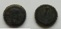 Syrien AE Apollonkopf 12,24 g -
