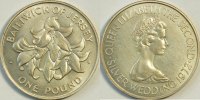 Jersey 1 Pfund -
