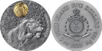 Niue 5 Dollars Brown Bear Wildlife in the Moonlight 2 oz Antique finish Silver Coin 5$ Niue 2023 -