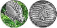 Niue 5 Dollars Macro Mantis Macro Insects 2 oz Antique finish Silver Coin 5$ Niue 2022 -