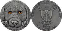 Cameroon 3000 Francs Year of the Dog 3 oz Antique finish Silver Coin 3000 Francs CFA Cameroon 2018 -