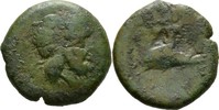Italien AE19 Paestum/Poseidonia -