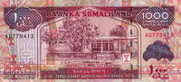 Somaliland 1.000 Shillings P.20 -