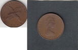 Isle of Man 2 Pence BIRD KM.34 -