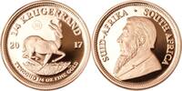 Südafrika 1/4 oz 7,78g fein 22,00 mm Ø 2017 Krügerrand 1/4 oz. - Springbock  Jubiläum -50 Jahre Krügerrand- SELTEN! PP-Der Originale-  Highlight ...