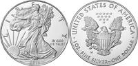 USA 1 $ Silber Eagle mit Patina Flecken -