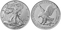 USA 1 $ Silber Eagle 2022 - <b>Typ II - </b> -