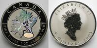Kanada 5 $ M.L.Lucky, Ahornzweig in Farbe (Kinegramm) inkl. Etui & Zertifikat & Schuber -