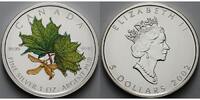 Kanada 5 $ Maple Leaf, farbig - Frühling inkl. Etui & Zertifikat & Schuber -