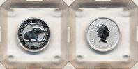 Australien 5$ 1/20 oz Platinum Coin Koala -
